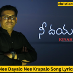 Nee Dayalo Nee Krupalo Song Lyrics