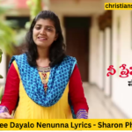 Nee Dayalo Nenunna Lyrics