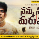 Nannu Neevu Maruvaka Song Lyrics